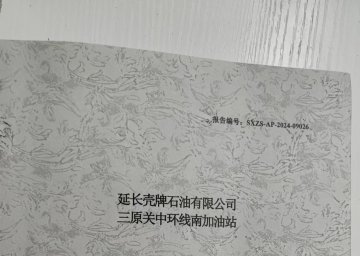 延長殼牌石油有限公司三原關中環線南加油站安全現狀評價報告